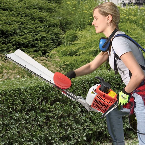 Hedge trimmer garden - garden, bush